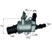 G101888 Termostato, refrigerante Mahle
