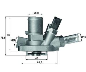 G101980 Termostato, refrigerante Mahle