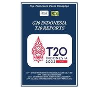 G20 Indonesia T20 Reports di Francesco Paolo Rosapepe, 2022, Youcanprint