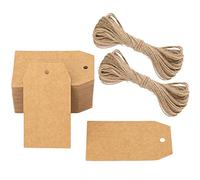 G2PLUS 100PCS Etichette Carta Kraft,Etichette Regalo,7x4CM Marrone Etichetta Kraft con 20M di Spago di Iuta per Regali di Compleanno,Matrimoni e fai da te