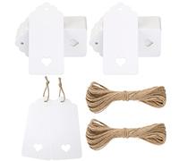 G2PLUS 100PCS Etichette Regalo,4.5x9.5cm Etichette Carta Kraft Bianco