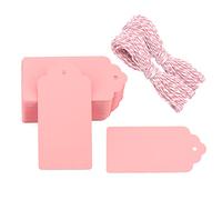 G2PLUS 100PCS Etichette Regalo,5x10cm Etichette in Carta Kraft Rosa