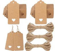 G2PLUS 200PCS Etichette Regalo in Carta Kraft 4.5x9.5CM - Tag Con Spago per Bottiglie, Matrimoni, Compleanni e Natale (Marrone)