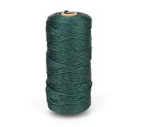 G2PLUS Corda di nylon verde, 130 m, corda di nylon da 2 mm, da giardino, resistente alle intemperie, resistente agli strappi, per giardini, supporti di piante, campeggio, artigianato fai da te