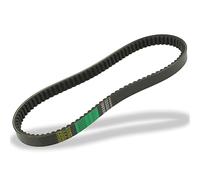 G8008930 CINGHIA BANDO KYMCO B&W-250 2000-2003