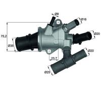 TI16888 Termostato, Refrigerante adatto a Fiat Doblo (MARCA-BEHR)..
