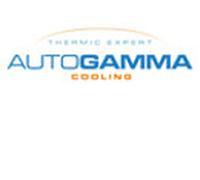GA222001 AUTOGAMMA Ventola, Raffreddamento motore per ALFA ROMEO,CITROËN,PEUGEOT