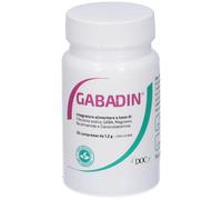 GABADIN 30CPR