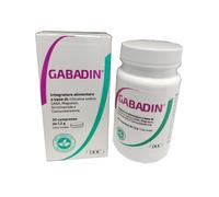 GABADIN 30CPR