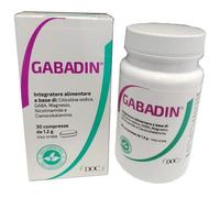 GABADIN 30CPR