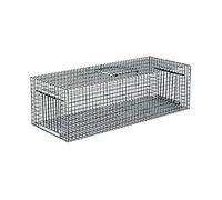 Gabbia cattura piccioni