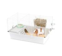 Gabbia di piccole dimensioni per piccoli mammiferi Guinea Ferplast Modello 80: misura 77x48x42 cm - 1° ORDINE? scegli lo sconto BZR5 / BZR20 + 200 punti fedeltà