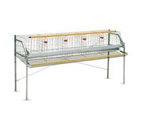 GABBIA GALLINE OVAIOLE 1 PIANO 207x61x100h