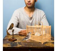 Gabbia Pappagalli Piccola Per Uccelli Gabbie Gli Della Calopsitta