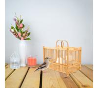 Gabbia Pappagallo Per Uccelli Piccola Della Calopsitta Gabbie Gli