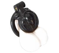 Gabbia per il pene sfrontata - cintura di castità con design a fica, 4 misure di anelli per il cazzo, sex toy in plastica leggera per bondage, BDSM e comfort a lungo termine