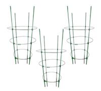 Gabbia per piante di , traliccio verticale resistente antiruggine, 3 gabbie per pomodori per aiuole rialzate, per ortaggi, fiori, cetrioli, clematidi, fragole, viti in vaso, per interni ed