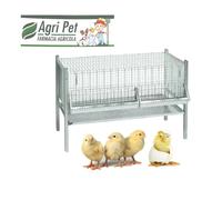 GABBIA PER POLLI E PULCINI RINFORZATA CON MANGIATOIA ABBEVERATOIO 100X50X65 h