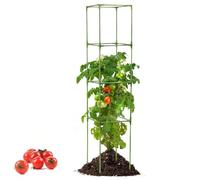 Gabbia Per Pomodori - Pali Quadrati Robusti - Struttura Alta Per Piante | per Piante Rampanti Fiori Ortaggi Frutta Interno Esterno Aiuola Rialzata Giardino Patio Balcone