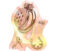 Gabbia piatta in acciaio inossidabile con asta piccola e anello anti-off, dispositivo piatto speciale per travestitismo maschile - ITHA09a (Asta di silicone, Anello da 45 mm)