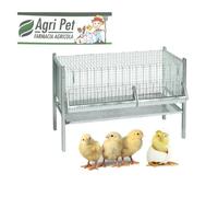 GABBIA PULCINI POLLI inclusa mangiatoia abbeveratoio cm 100x50x65