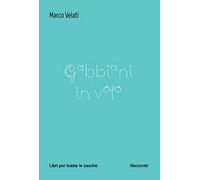 Gabbiani in volo