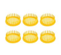 Gabbie per Api Regina, Scatola per l'allevamento Dell'ape Regina, 6pcs