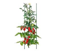 Gabbie per Pomodori per Supporto per Piante, Tralicci per Aiuole Rialzate | Gabbia Alta per Supporto Per Piante, Torri Per Gabbie per Vasi, Forniture, Traliccio Piante Rampicanti(200 cm/78.7in)