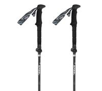 Gabel Bastoncini Hybrid Carbon Xtl