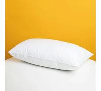 Gabel Guanciale Aloe 24108 Letto 50x80 cm in Microfibra con Imbottitura Anallergica