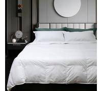 Gabel Nottetempo Piumino Caldissimo 235 gr/mq, Imbottitura 30% Piumino, 70% Piumetta, Fodera Puro Cotone, Bianco, Singolo, 205 x 155 x 2 cm