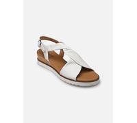 Gabor - 62.751 Bianco - Sandali e scarpe aperte 41 Bianco