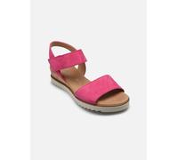 Gabor - Claire Rosa - Sandali e scarpe aperte 39 Rosa