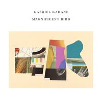 Gabriel Kahane Magnificent Bird (Vinyl LP)