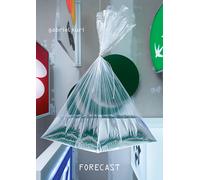 Gabriel Kuri: Forecast - [Mousse Publishing]