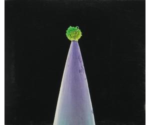 Gabriel Peter - Gabriel Peter-New Blood n