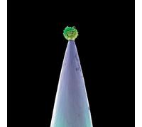 Peter Gabriel New Blood (CD)