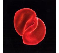 Audio Cd Peter Gabriel - Scratch My Back