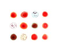 Gabriel Peter - Scratch My Back/And I'Ll Scratch Yours