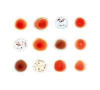 Peter Gabriel Scratch My Back/And I'll Scratch Yours (CD) Album