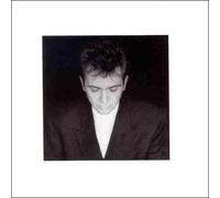 Gabriel,Peter - Shaking the Tree (Remastered)