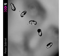 Gabriel Peter - Up