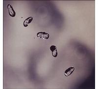 Gabriel Peter - Up