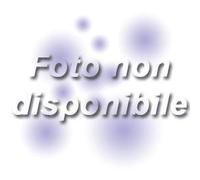 Gabriele Cambrini - Dedicato a Te