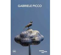 Gabriele Picco. Ediz. illustrata