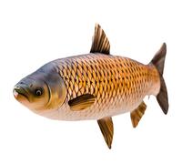 Gaby Il Cuscino Gigante A Forma Di Carpa Erbivora