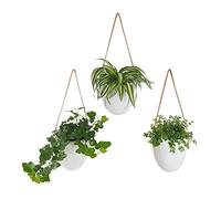 Gadgy Vasi da Parete | Set di 3 | Fioriera da Parete | Porte Piante da Parete | Vasi Appesi | Porta Piante da Parete | Vasi da Appendere al Muro | Porta Vasi Sospesi | Vasi Design per Interno