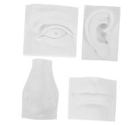 Gadpiparty 1 Set Assistenza didattica del Gesso facciale Muffa dei Tratti del Viso in Gesso Caratteristiche Modello Scultura dei Tratti del Viso Strumento di Scultura di Schizzo Malta Bianca