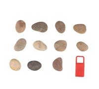 Gadpiparty 1 Set Pietre Naturali da Dipingere Pietre per Arte con Dimensioni per attività DIY per Scuola Pronte da Decorare e Personalizzare