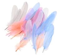 Gadpiparty 2 Set Piume Decorative Naturali per DIY Accessori per Costumi Decorazioni per Feste E Matrimonio Plume Varie Colorazioni 300 Pezzi*2
